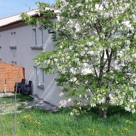 Brit Bosquet Cite Καρκασόν