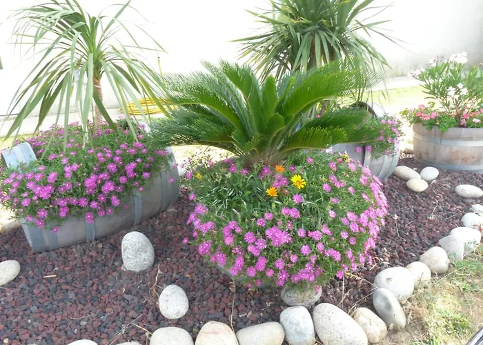 Hotel Brit Bosquet Cite Carcassonne